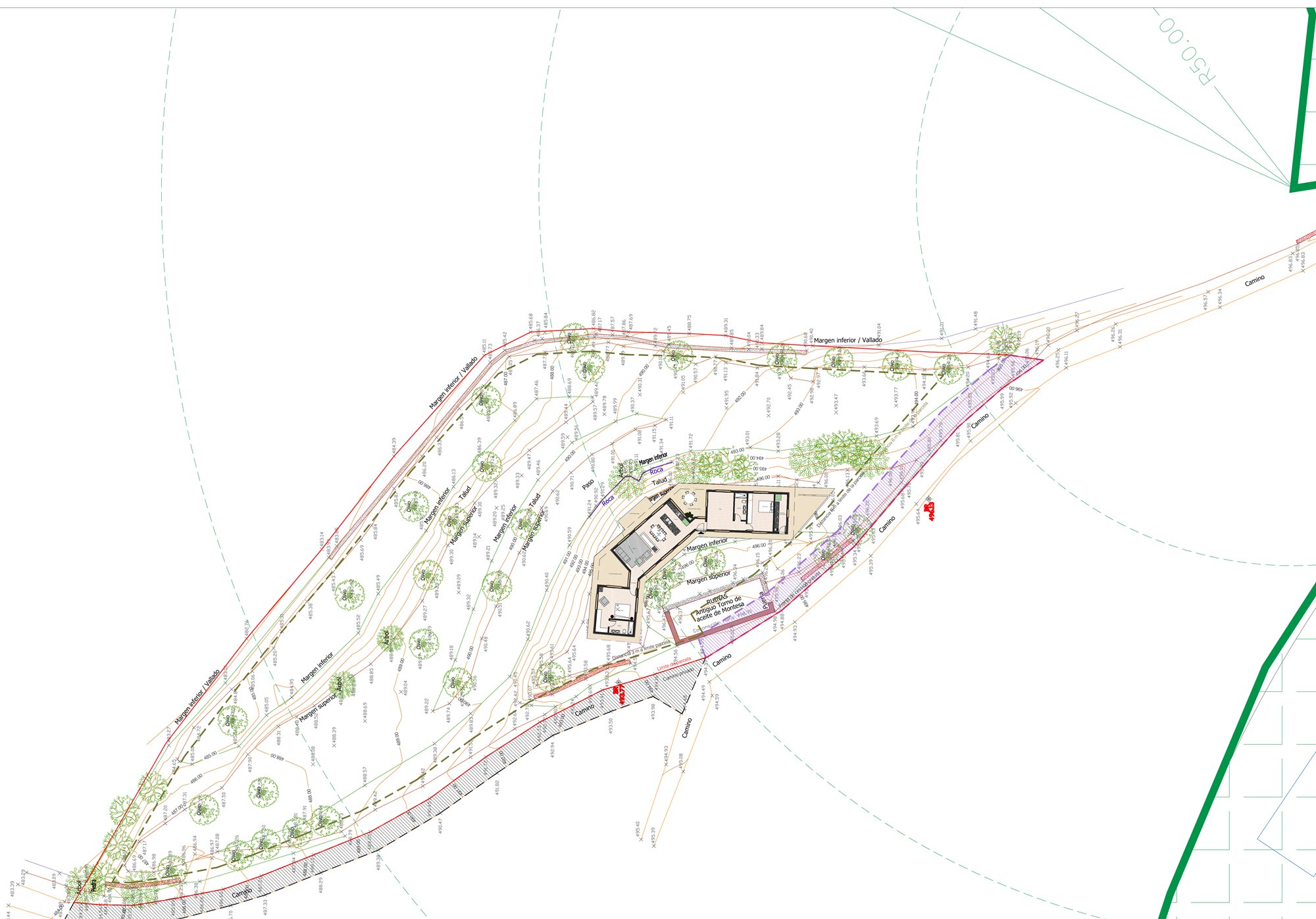 Plànol general de la finca: la llenca d'oliveres amb les corbes de nivell, la casa i les ruïnes a l'era de la part alta, i el camí que puja fins al nucli de Montesa, a la dreta